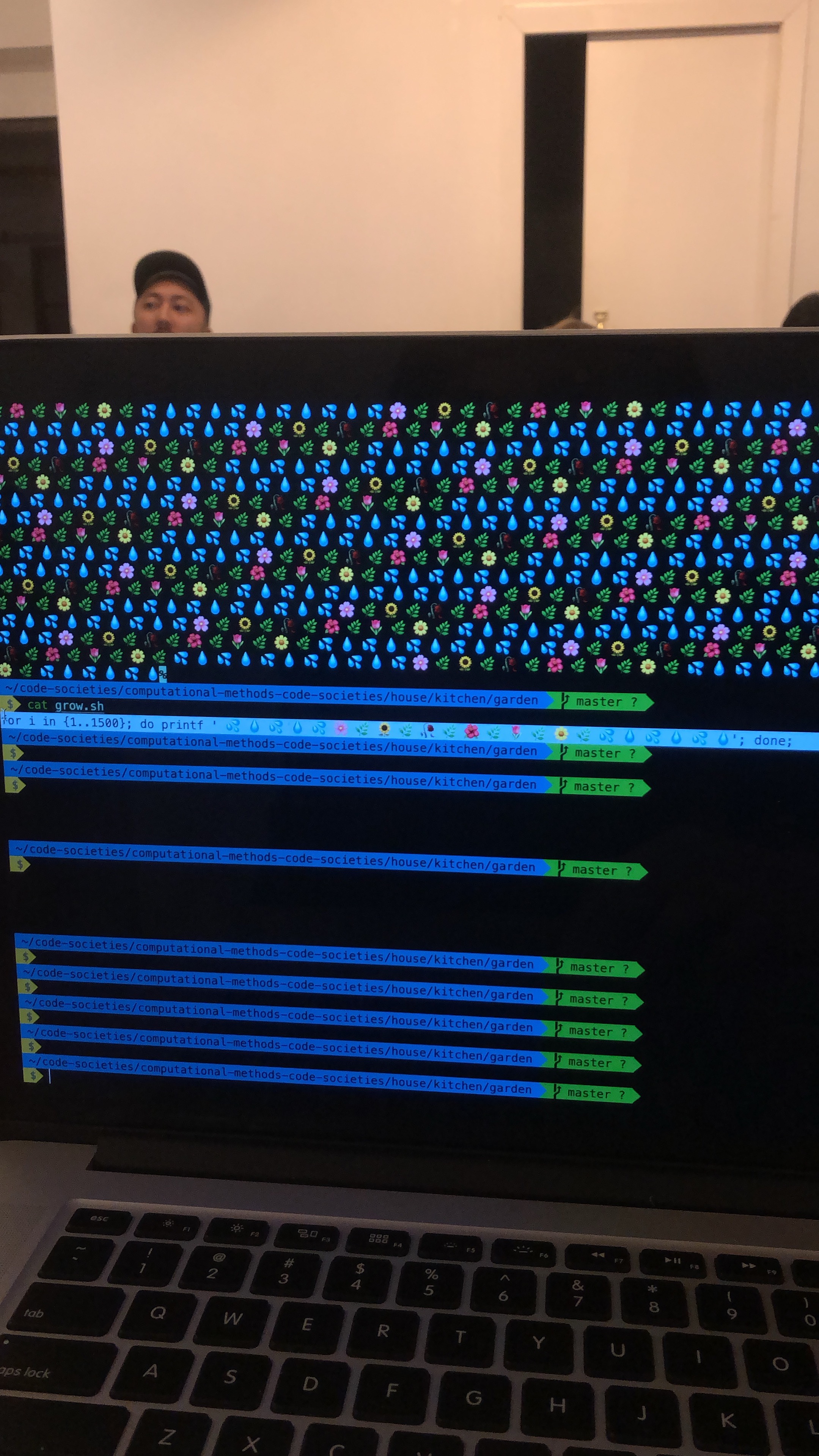 Computational Methods of Code Societes: Terminal magic, photo of someone's Terminal garden