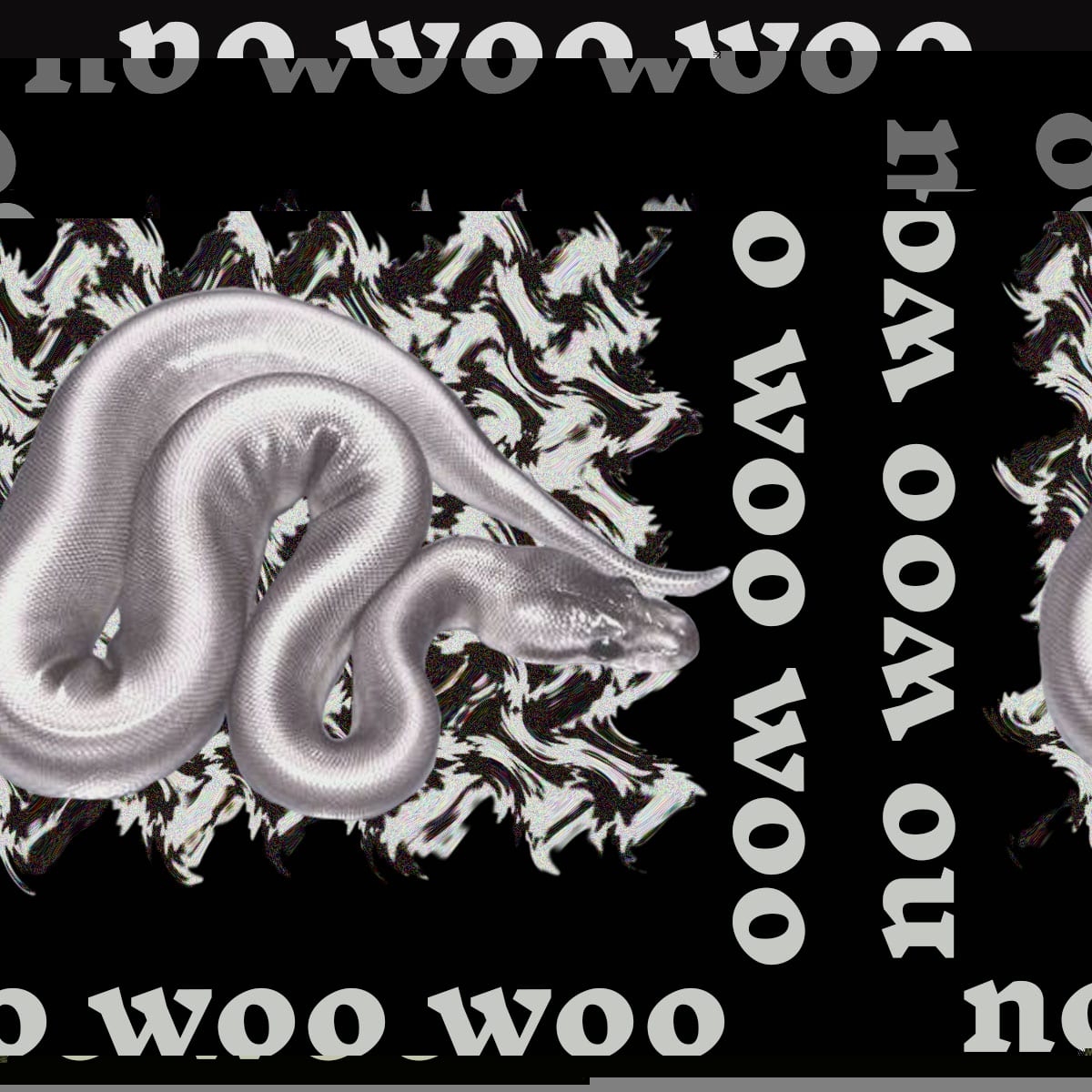 first glitch of graphic for No woo woo radio show