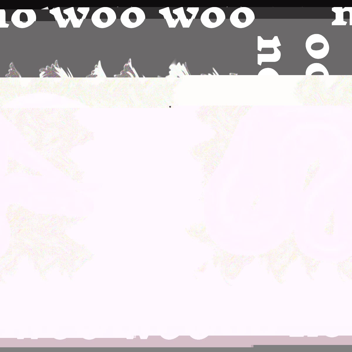 second glitch of graphic for No woo woo radio show